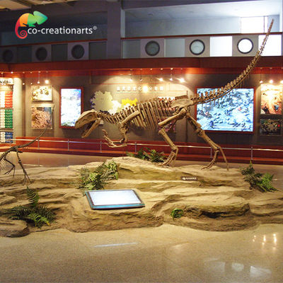 Sunproof الراتنج ديناصور هيكل عظمي Gasosaurus Skull