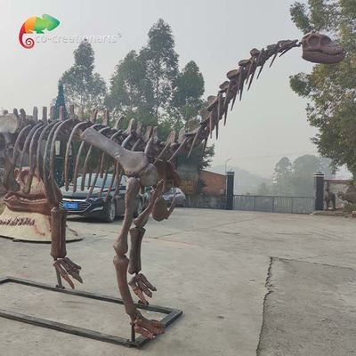 CE Jurassic Park ديناصور هيكل عظمي طبق الاصل Shunosaurus Skeleton weather reistance