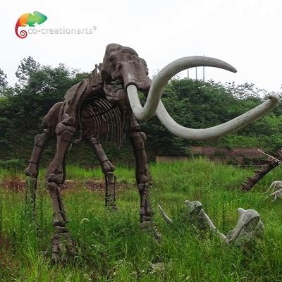 مقاومة الطقس الحقيقي الحجم طبق الاصل الهياكل العظمية الحيوانية Mammuthus Model