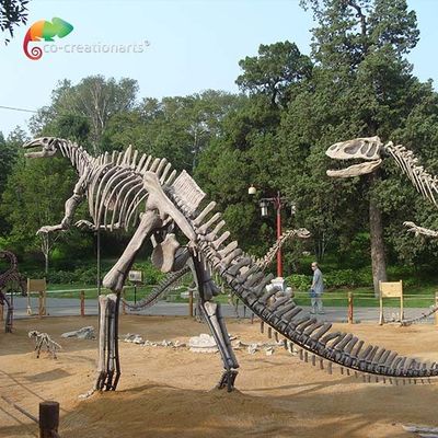 شراء الألياف الزجاجية بالحجم الطبيعي ديناصور الجمجمة طبق الاصل Hadrosaurus هيكل عظمي مكافحة الشيخوخة online manufacture