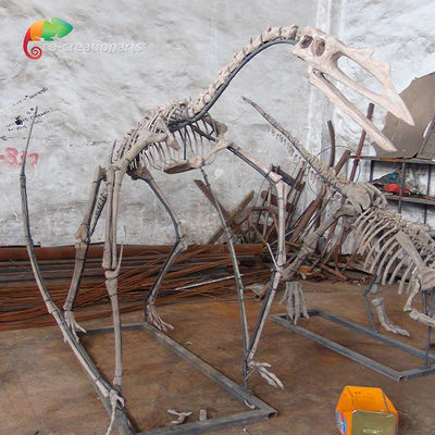 شراء متحف معرض الراتنج هيكل عظمي ديناصور Quetzalcoatlus هيكل عظمي للتخصيص online manufacture