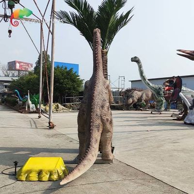 الاسم