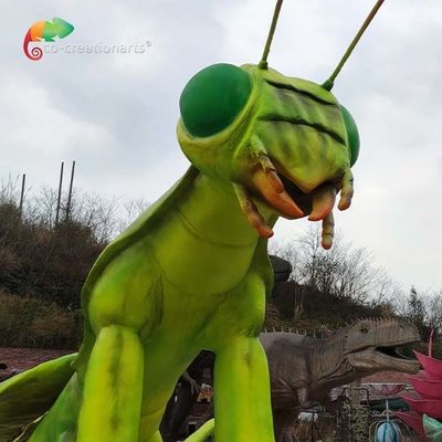 الاسم