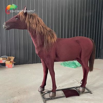 الاسم